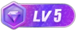 等级-LV5-6协议-村兔网