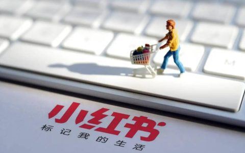 小红书引流涨粉小技巧！-6协议-村兔网